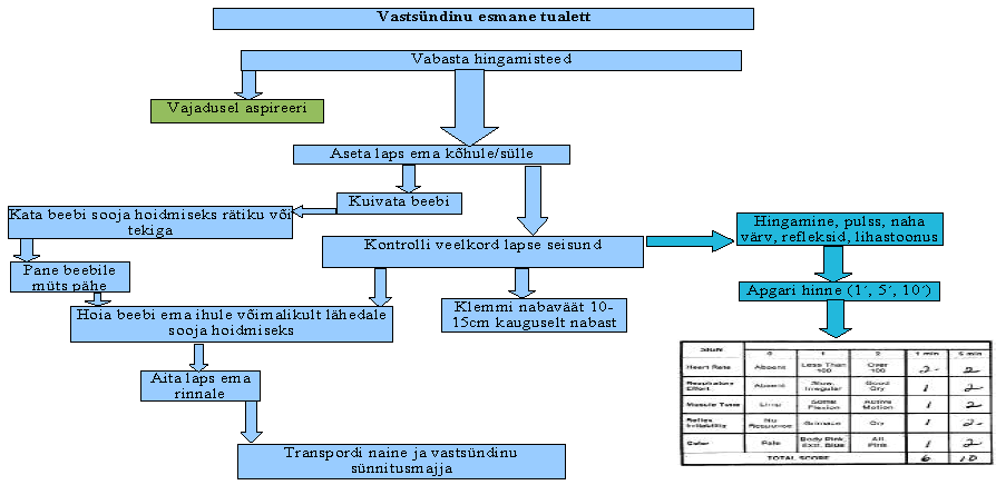 eklsk29